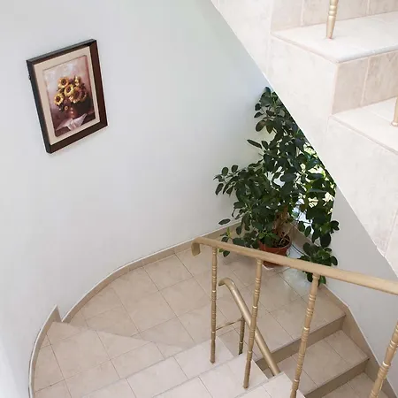 Πανσιόν Sokratovi 3*