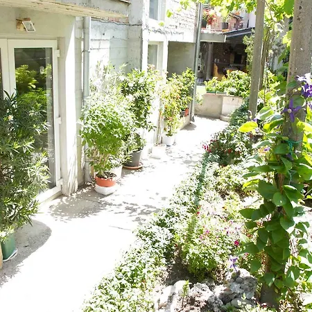 Pensiune Sokratovi 3*